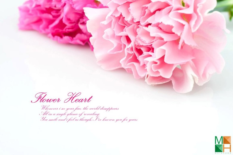 Tranh dán tường Hàn Quốc tại Hà Nội hoa phăng FW - 163